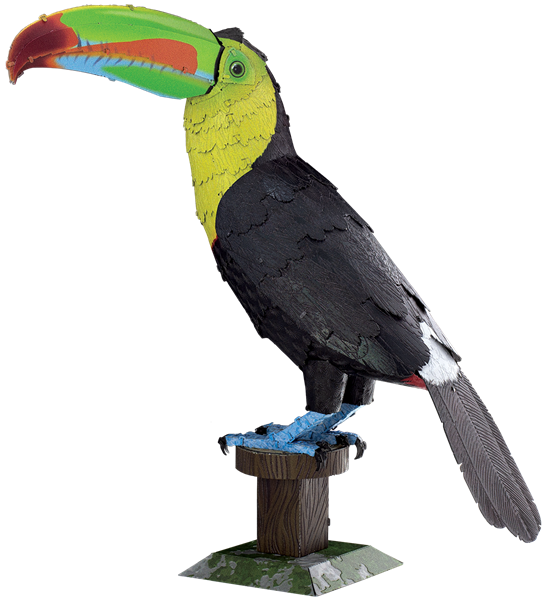 Picture of Keel-billed Toucan