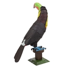 Picture of Keel-billed Toucan